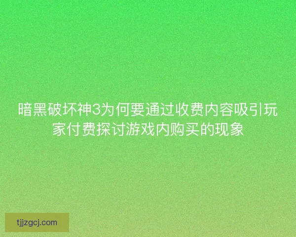 暗黑破坏神3为何要通过收费内容吸引玩家付费探讨游戏内购买的现象