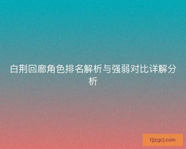 白荆回廊角色排名解析与强弱对比详解分析