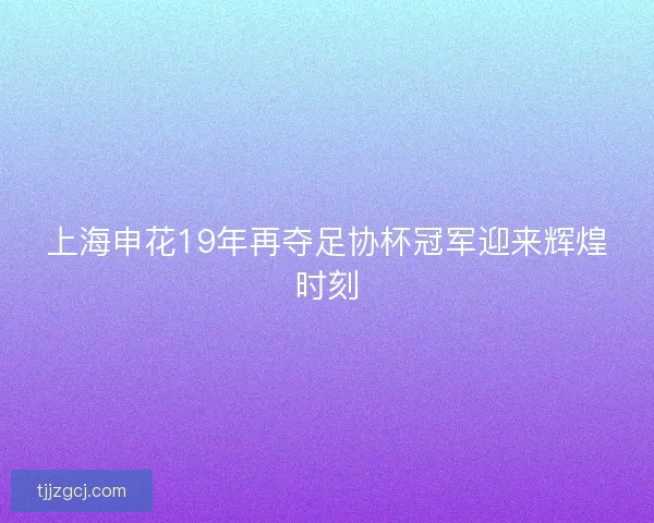 上海申花19年再夺足协杯冠军迎来辉煌时刻