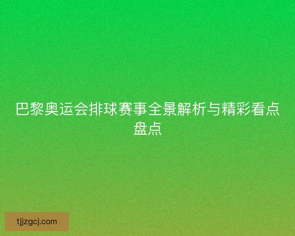 巴黎奥运会排球赛事全景解析与精彩看点盘点