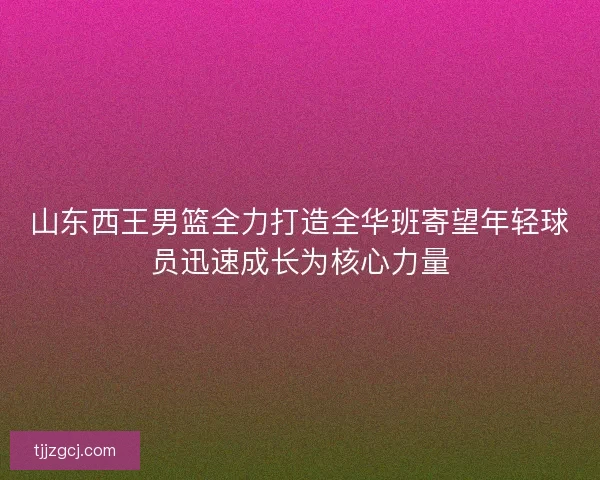 山东西王男篮全力打造全华班寄望年轻球员迅速成长为核心力量 山东西王男篮全力打造全华班寄望年轻球员迅速成长为核心力量